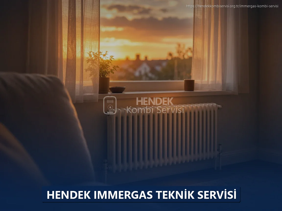Hendek Immergas Teknik Servisi